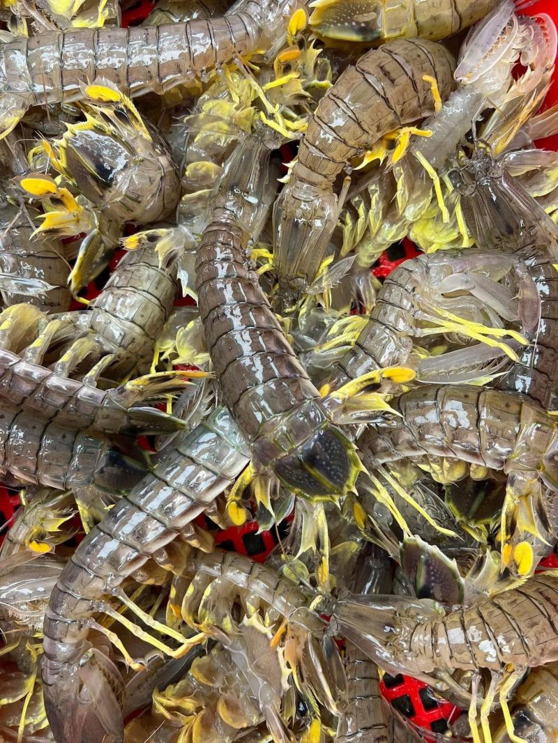 Vựa Hải Sản Tươi Sống Tài Cua