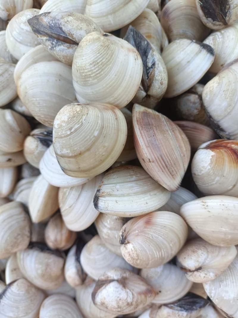 Vựa Hải Sản Vũ Cầm