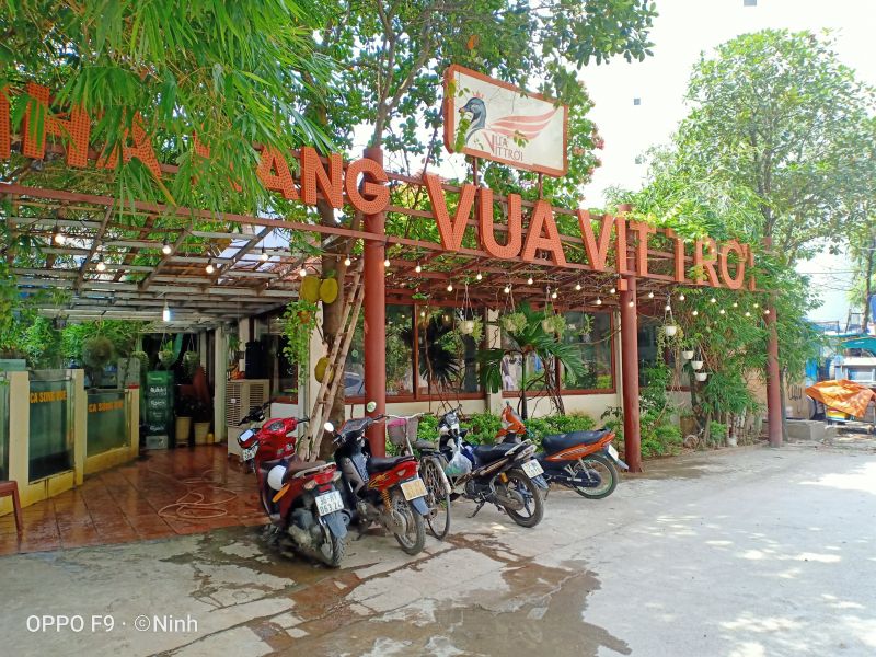 Vua Vịt Trời