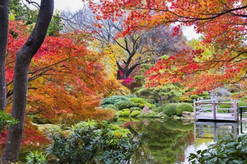 Vườn bách thảo Fort Worth