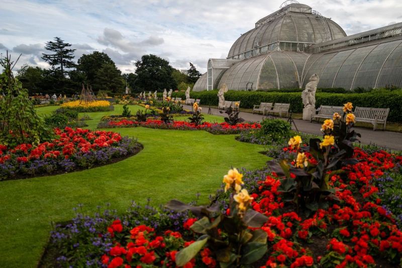 Vườn bách thảo Hoàng gia ở Kew, London