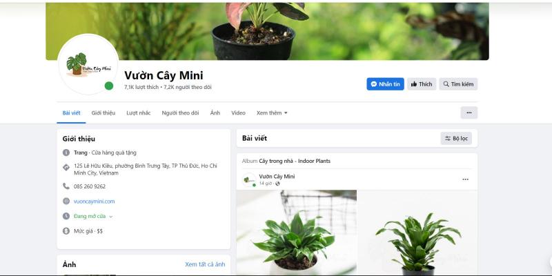 Fanpage Vườn cây mini