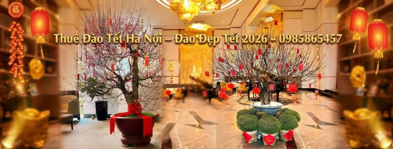 Dịch vụ thuê hoa đào tết Hà Nội