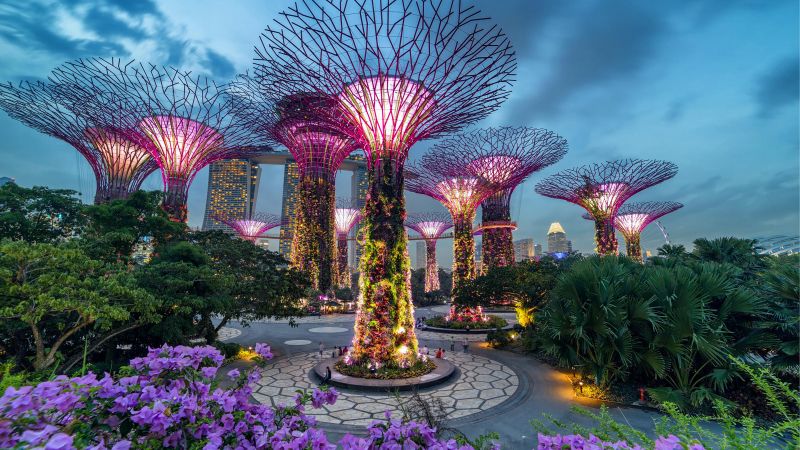 Vườn Garden by the Bay