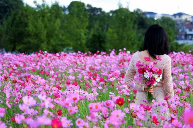 Top 8 Thiên đường hoa nở vào tháng 10 đẹp nhất Việt Nam - toplist.vn