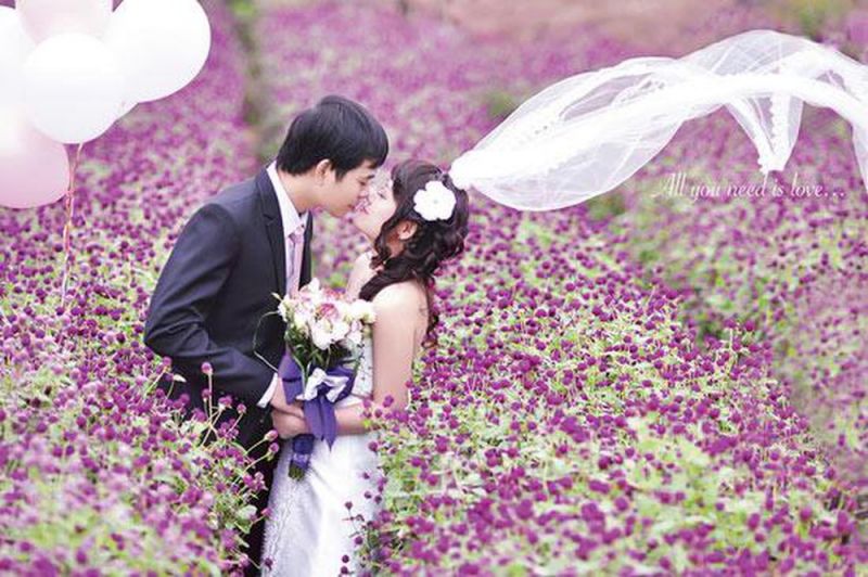 Top 8 thiên đường hoa nở vào tháng 10 đẹp nhất Việt Nam