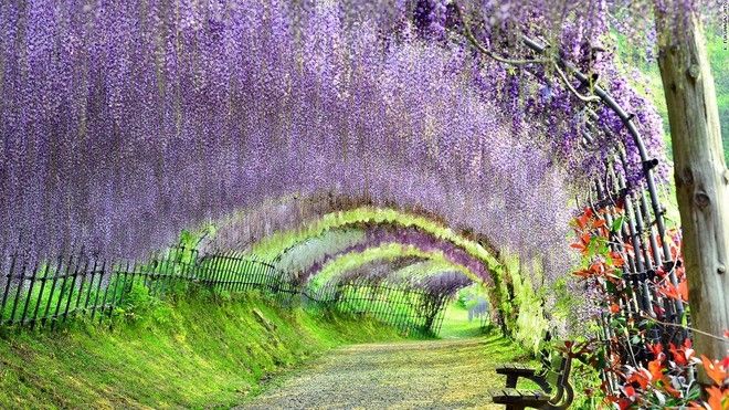 Top 13 địa điểm đẹp như thiên đường ở Nhật Bản 