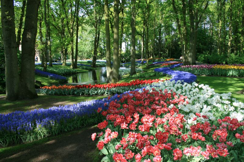 Vườn hoa Keukenhof, Hà Lan