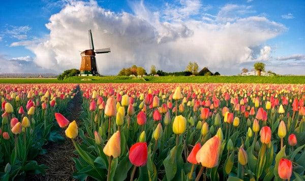 Vườn hoa Keukenhof, Hà Lan