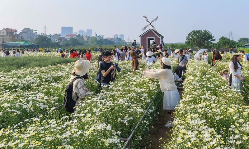 Vườn hoa Nhật Tân