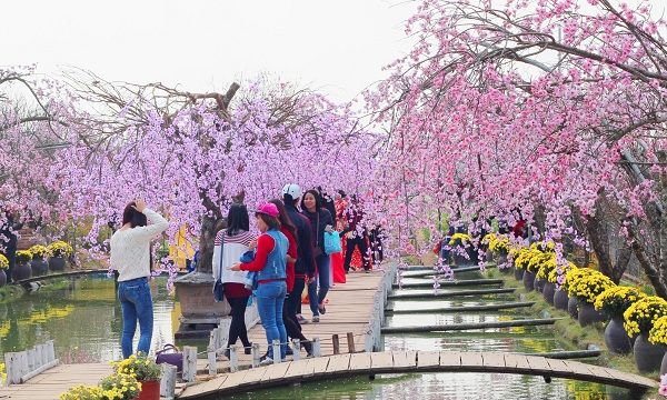 Vườn hoa Nhật Tân