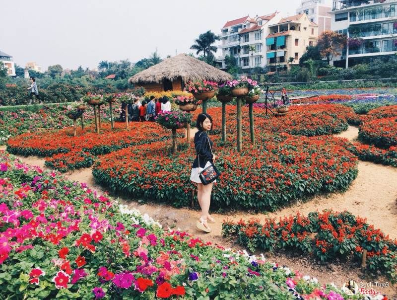 Top 8 điểm chụp Sefile đẹp nhất Hà Nội dịp cuối năm