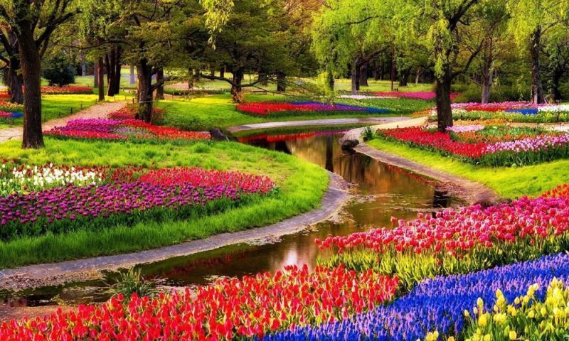 Vườn Keukenhof