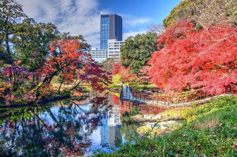 Vườn Koishikawa Korakuen, Nhật Bản