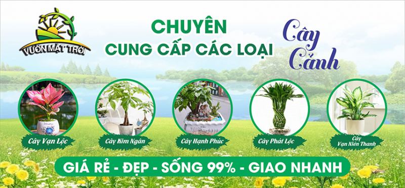 Vườn Mộc Châu 24h