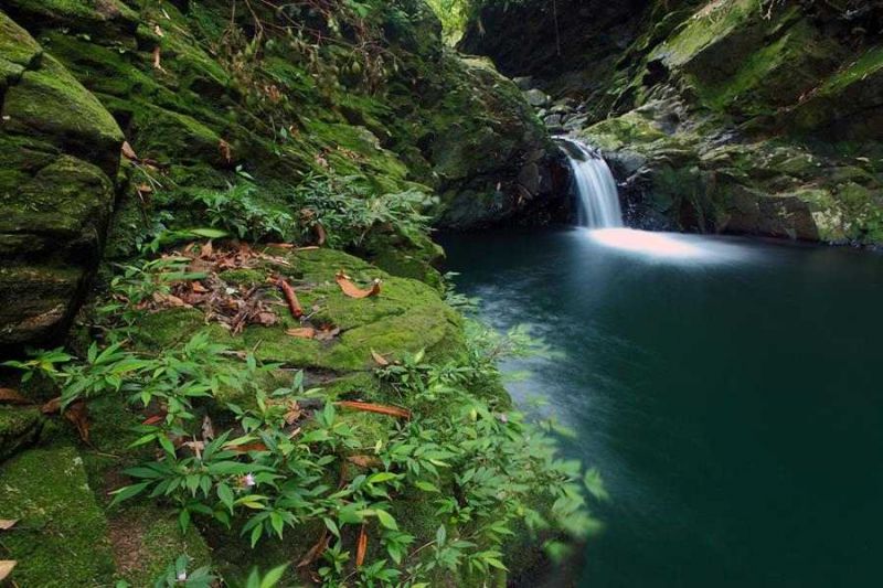 . Với những ai yêu thích sự đơn giản, hoang sơ, yên tĩnh thì vườn quốc gia Bạch Mã là điểm tới lý tưởng nhất