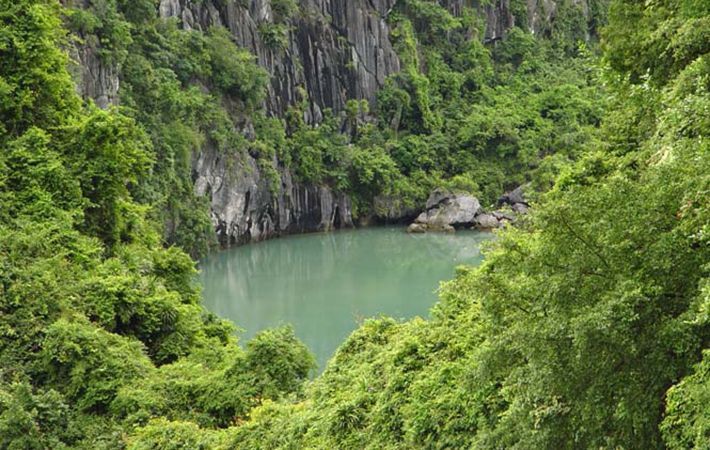 Vườn quốc gia Cát Bà là khu rừng đặc dụng của Việt Nam, khu dự trữ sinh quyển thiên nhiên thế giới