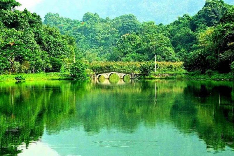Cuc Phuong National Park covers an area of ​​25,000 hectares and is the first national forest of Vietnam.