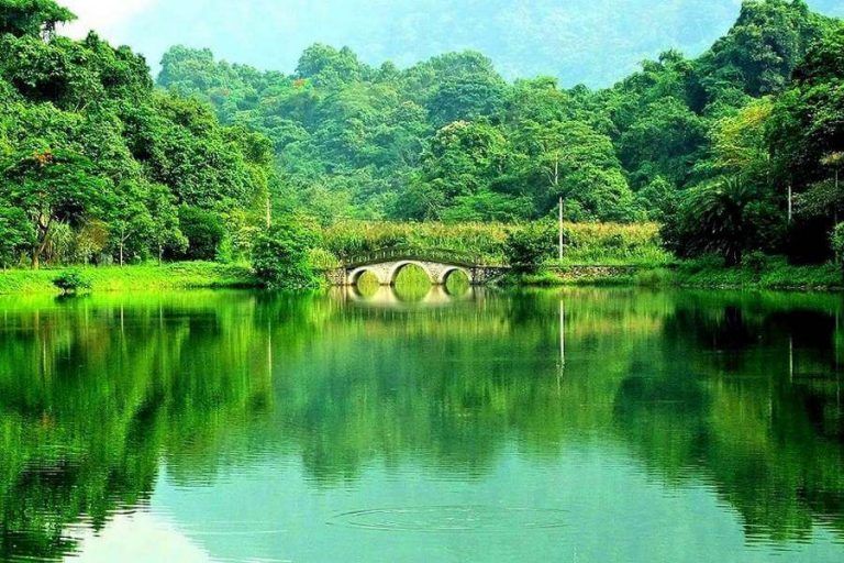 Vườn quốc gia Cúc Phương có diện tích là 25.000ha và cũng là rừng quốc gia đầu tiên của Việt Nam