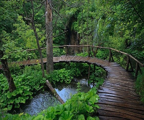 Đây là một trong những Vườn Quốc gia của Nam Bộ còn giữ được nguyên vẹn khu rừng già nguyên sinh