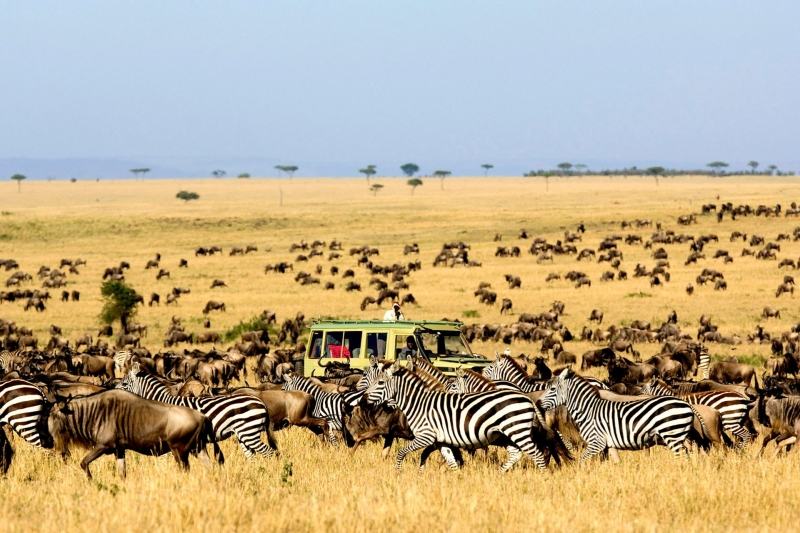 Vườn quốc gia Serengeti (Tanzania)