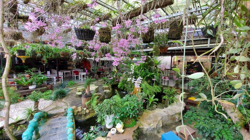 Top 14 Quán cà phê sân vườn đẹp nhất tỉnh Thừa Thiên Huế - toplist.vn