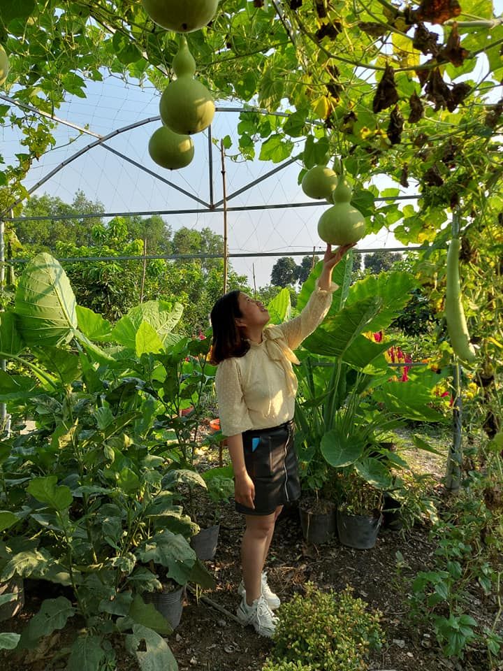 Tam Binh Fruit Garden