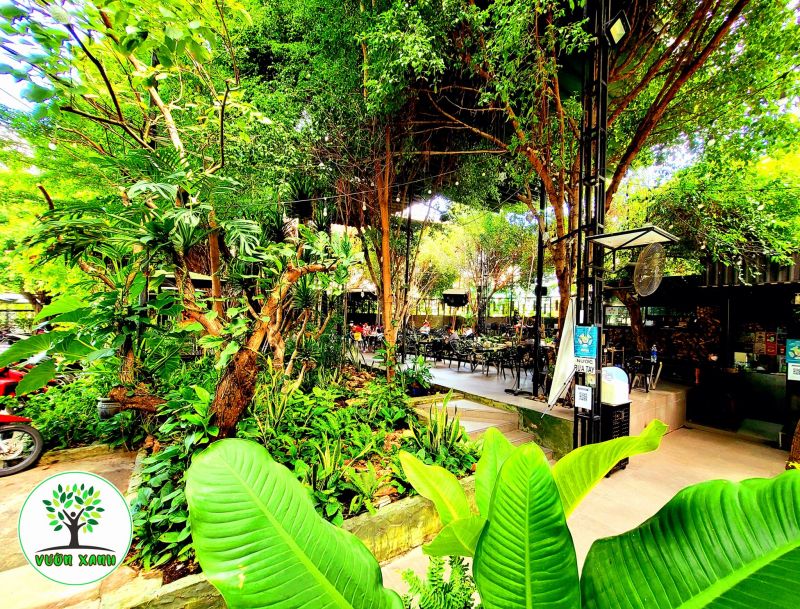 Top 6 Quán cafe view đẹp, yên tĩnh có sân vườn ở quận 8, TP. HCM ...