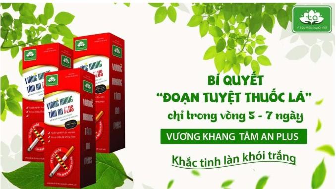 Vương Khang Tâm An Plus