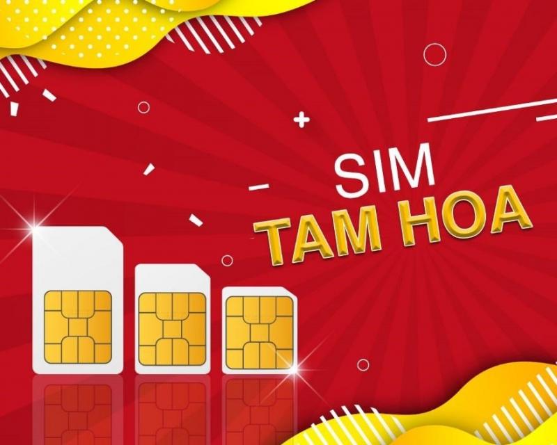 Web Sim của tui