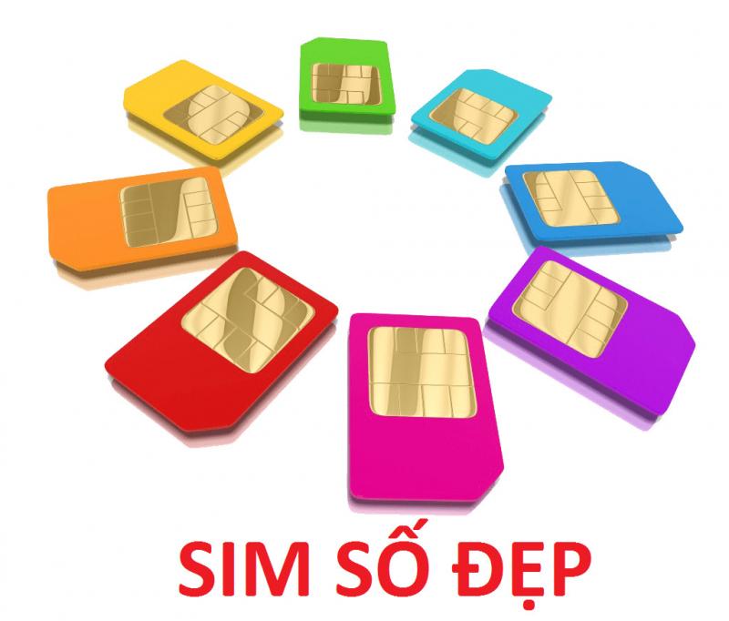 Web Sim của tui