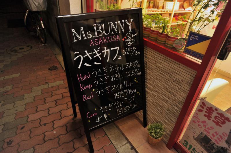 With Bunny, Asakusa