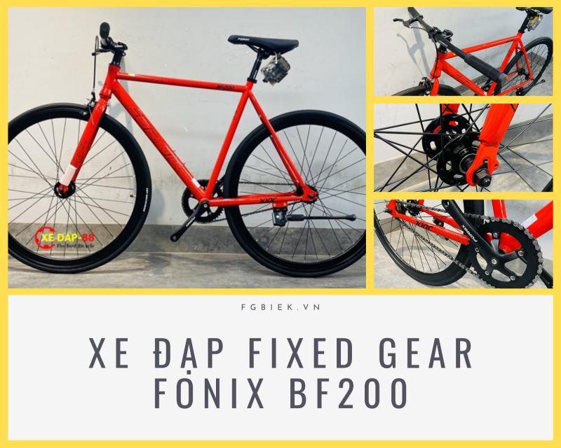 Xe Đạp Thể Thao - Fixed Gear - Xe Đạp  88