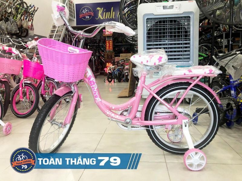 Xe Đạp - Xe Điện Toàn Thắng 79