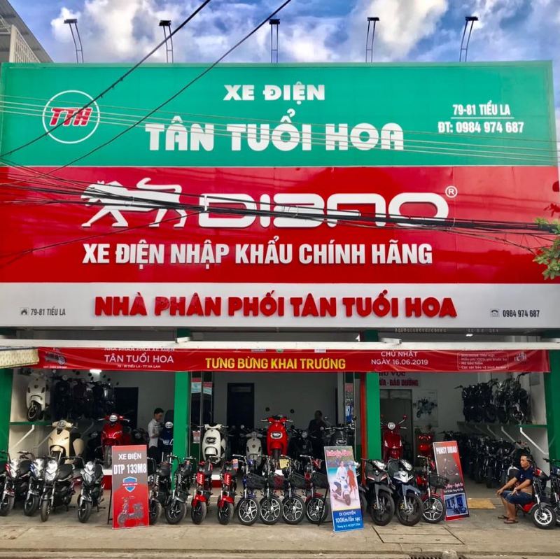 Xe Điện Tân Tuổi-Hoa