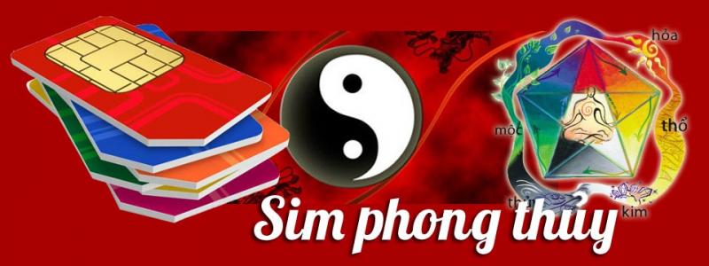 Luận phong thủy sim tại tuvikhoahoc.vn