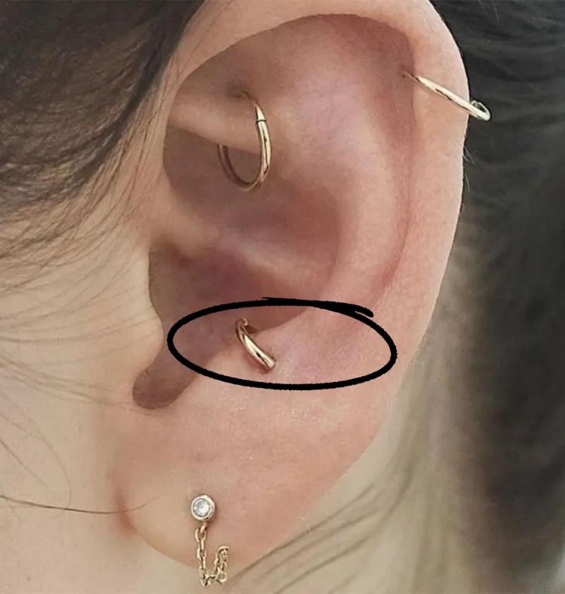 Xỏ sụn Anti-tragus