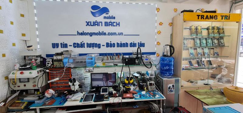 Xuân Bách Mobile