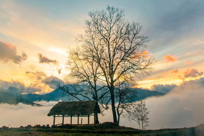 Săn mây tại Y Tý (Lào Cai)