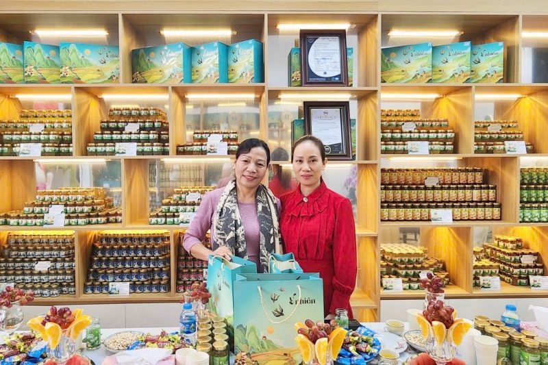 Yến Sào Ý Nhiên