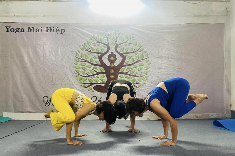 Yoga Mai Điệp