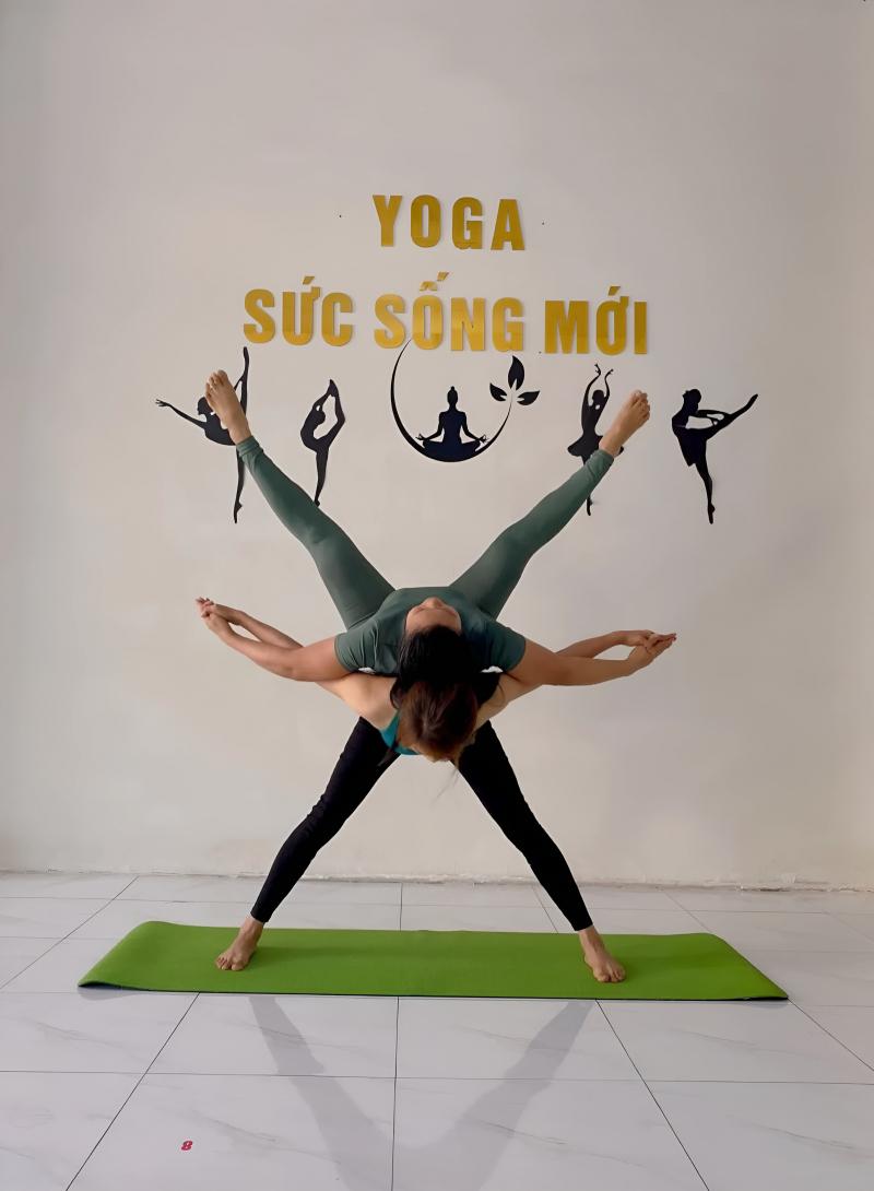 Yoga Sức Sống Mới