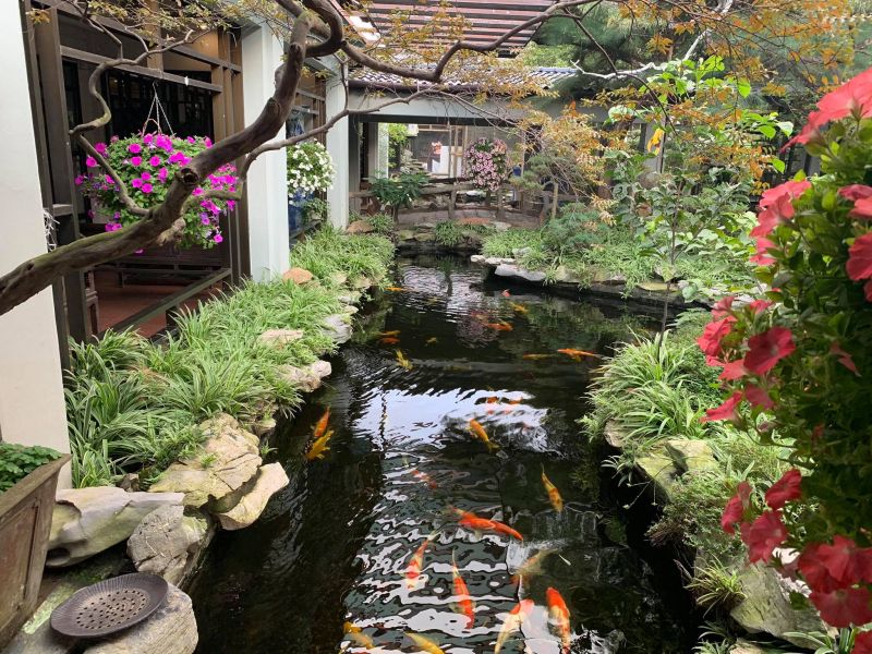 YoKo Koi Farm