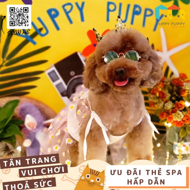 Yuppy Puppy - Khách Sạn & Spa Thú Cưng